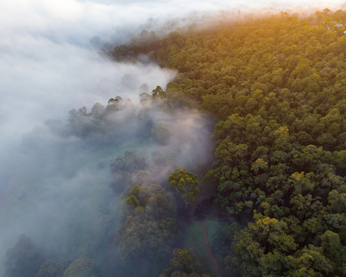 Misty Mornings