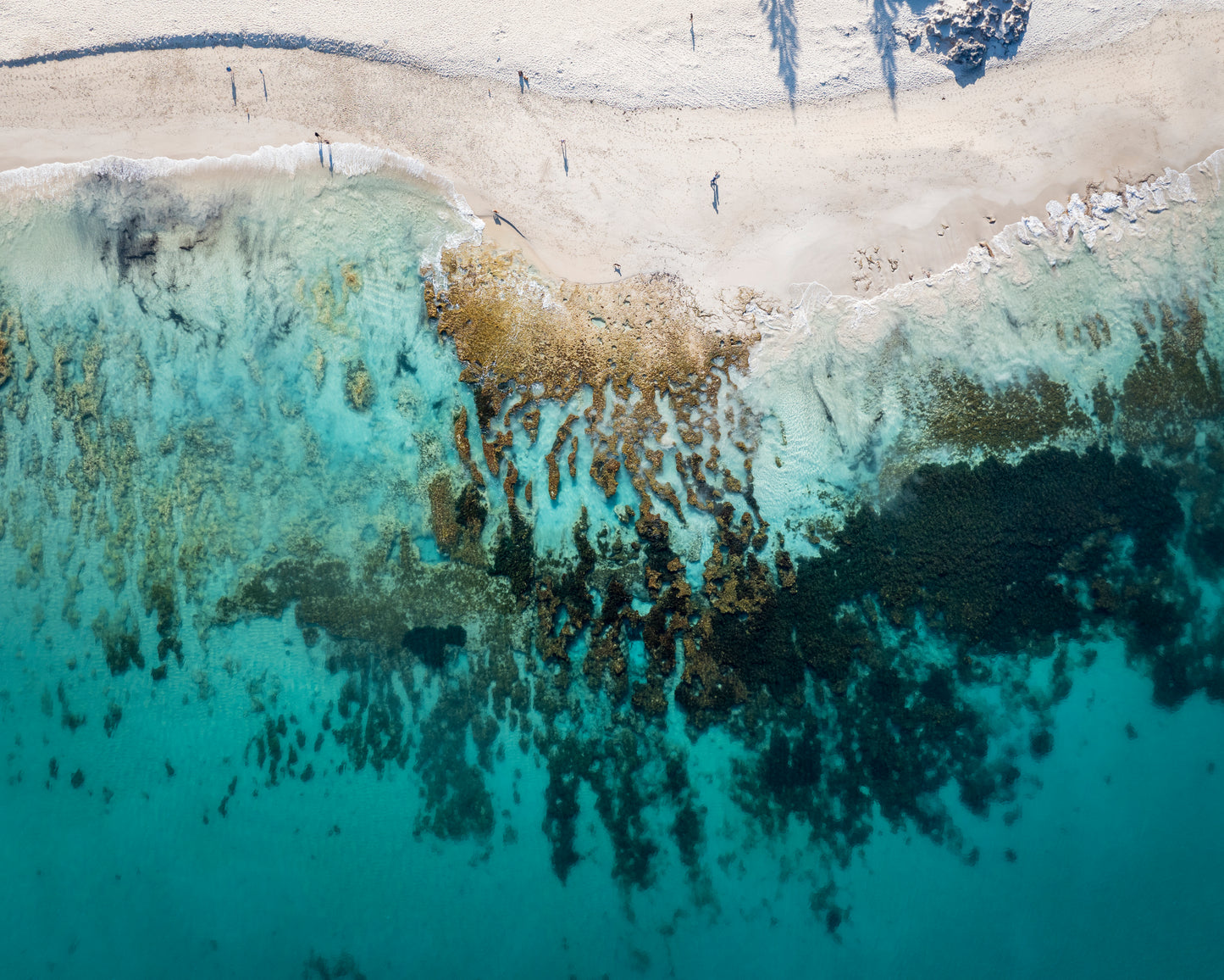 North Cott Reef