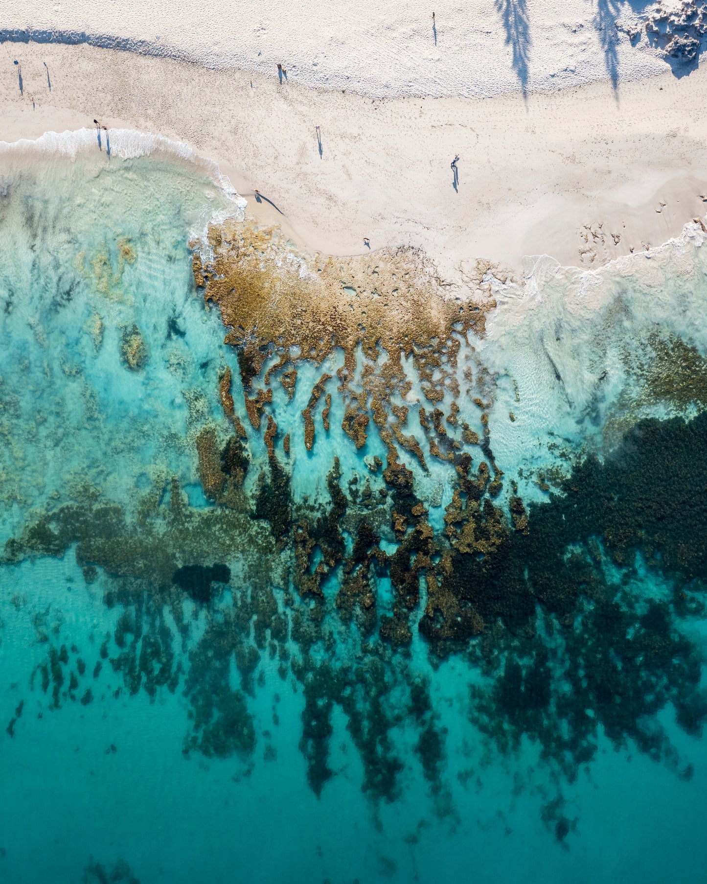 North Cott Reef