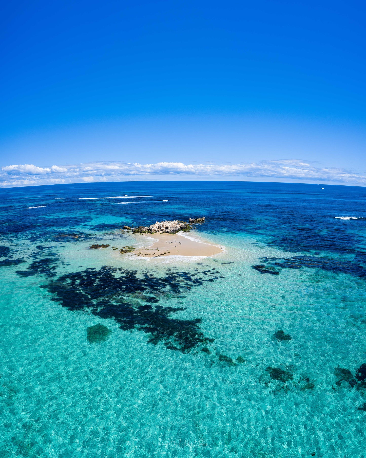 Island Dreaming