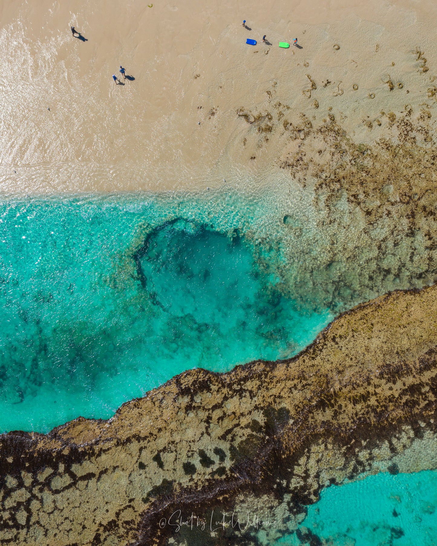 Lagoon Life