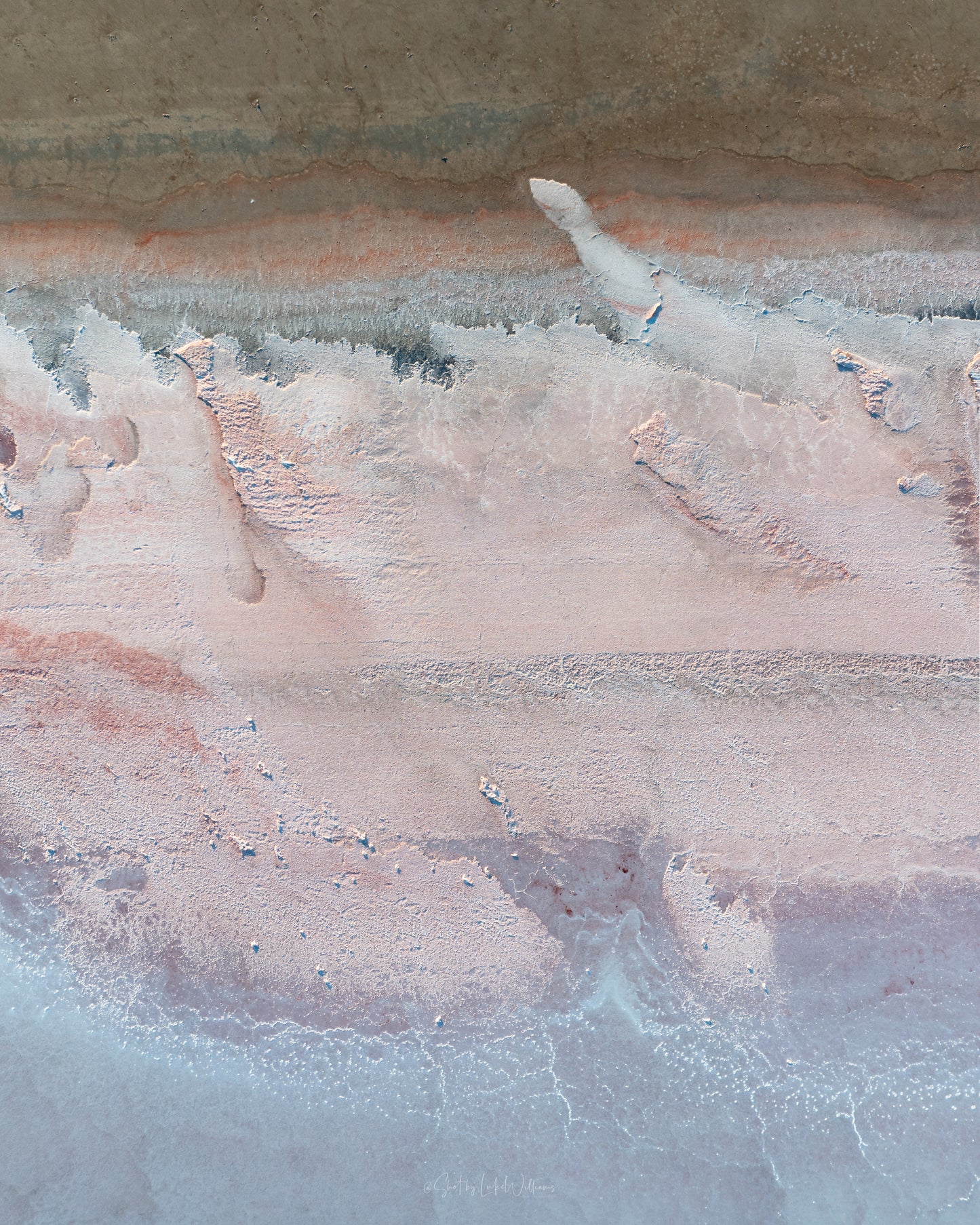 Lake Ninan Abstract 4