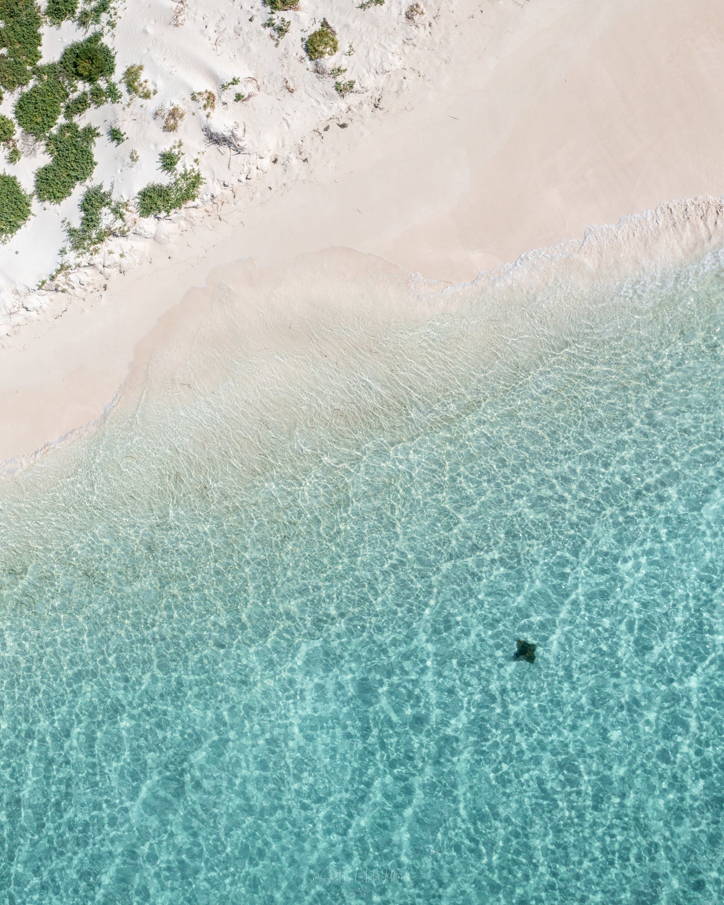 Lancelin Ray
