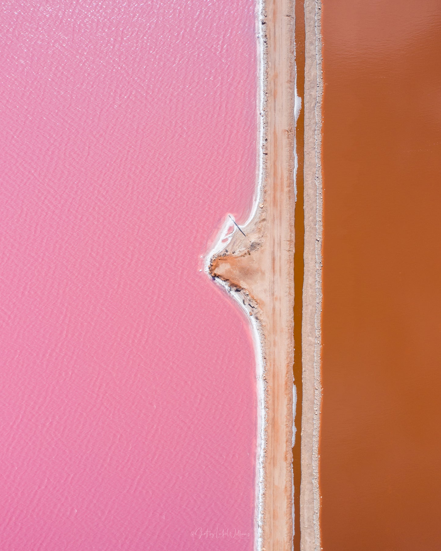 Pink Salt