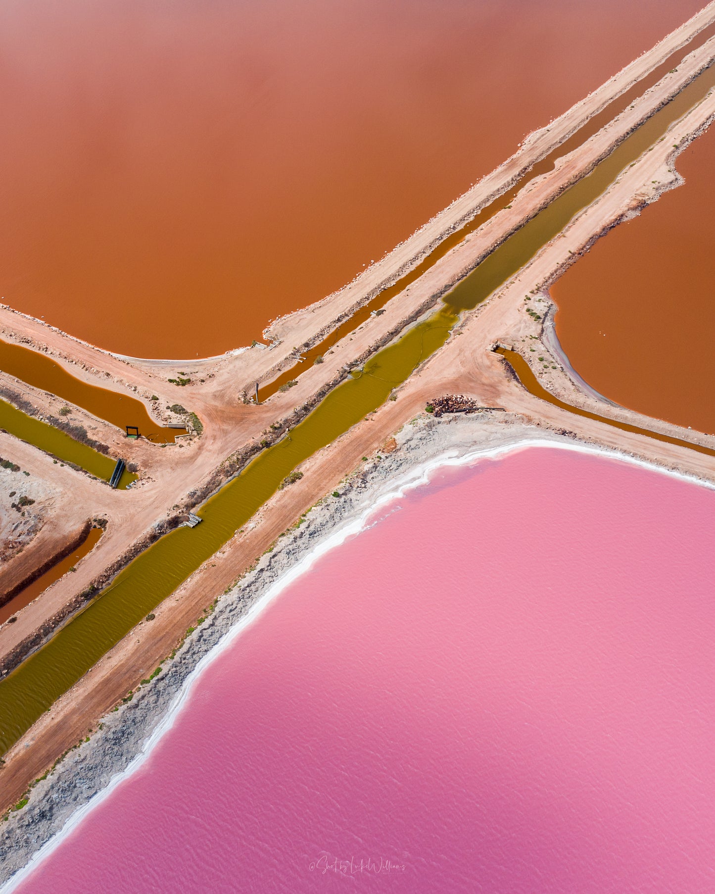 Pink Salt 3