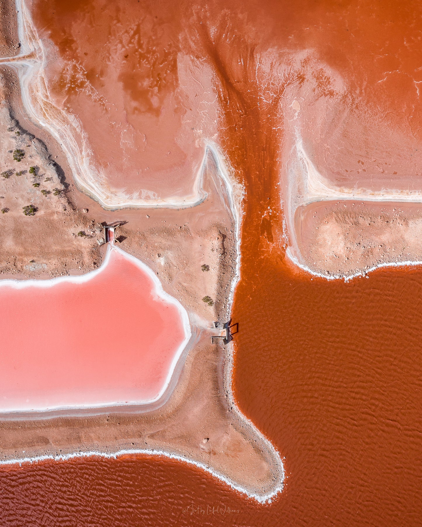 Pink Salt 4