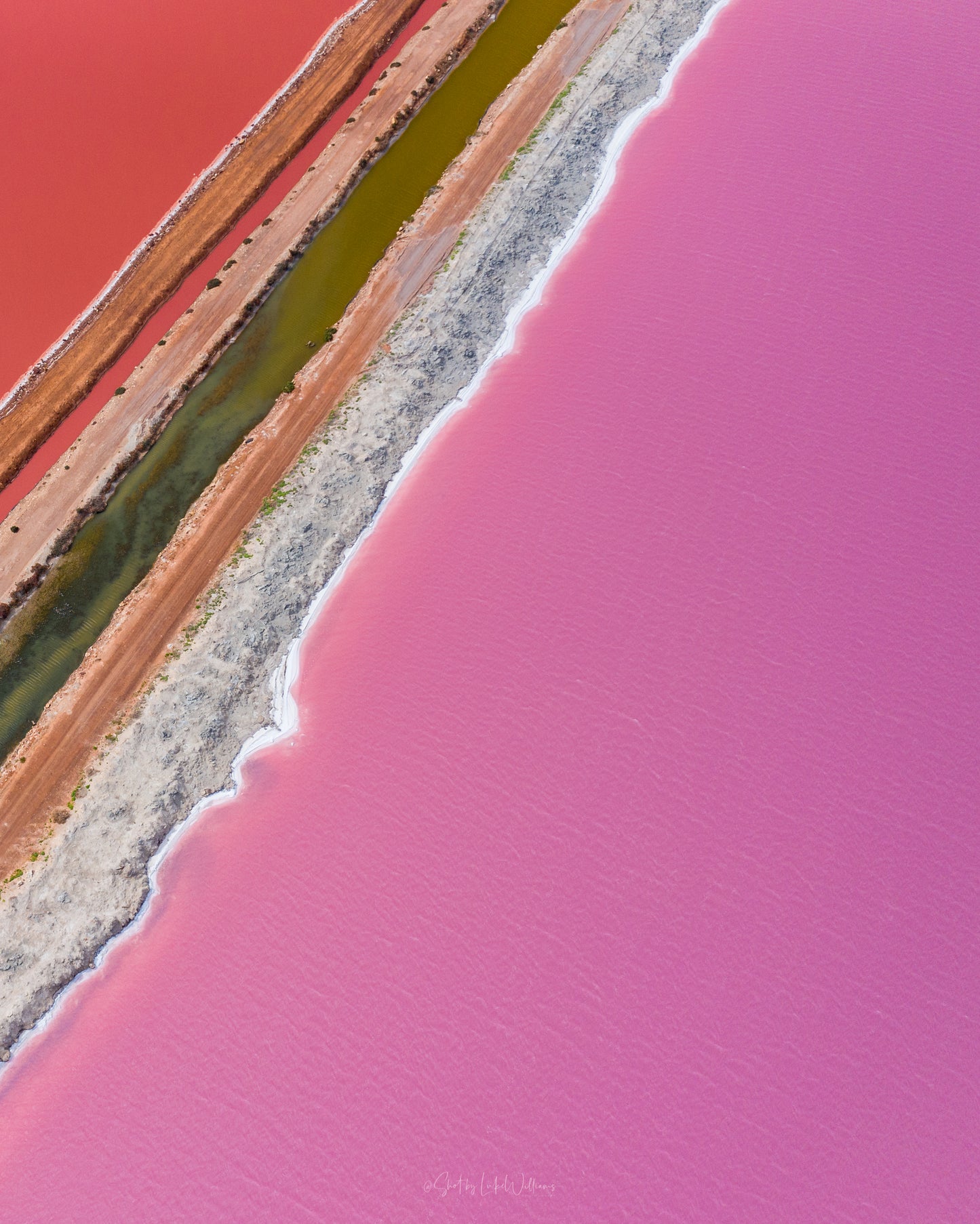 Pink Salt 5
