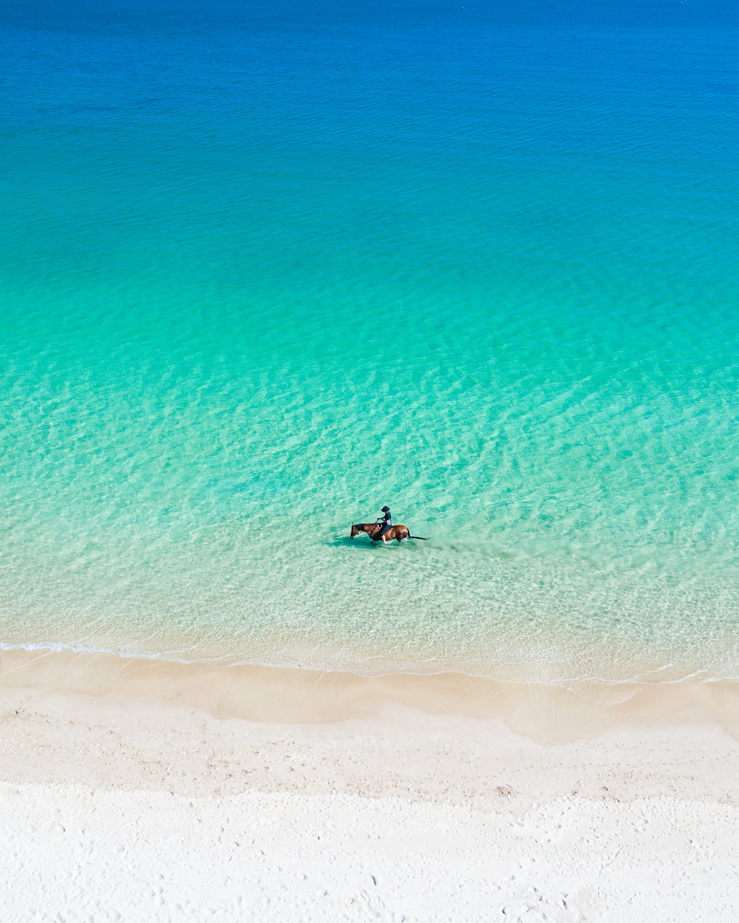 "Checkmate" Rockingham Beach