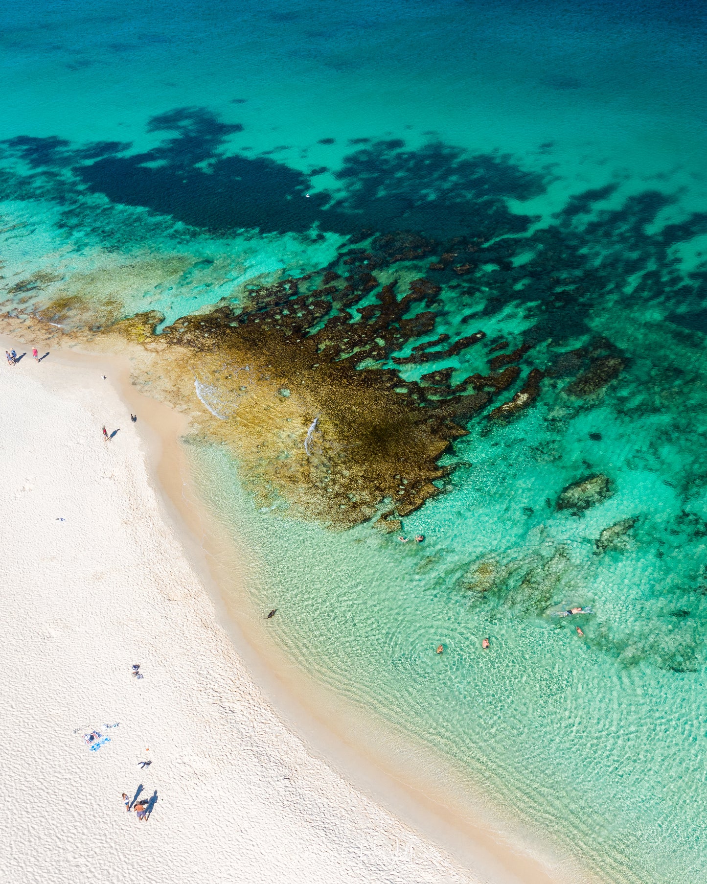 The Reef