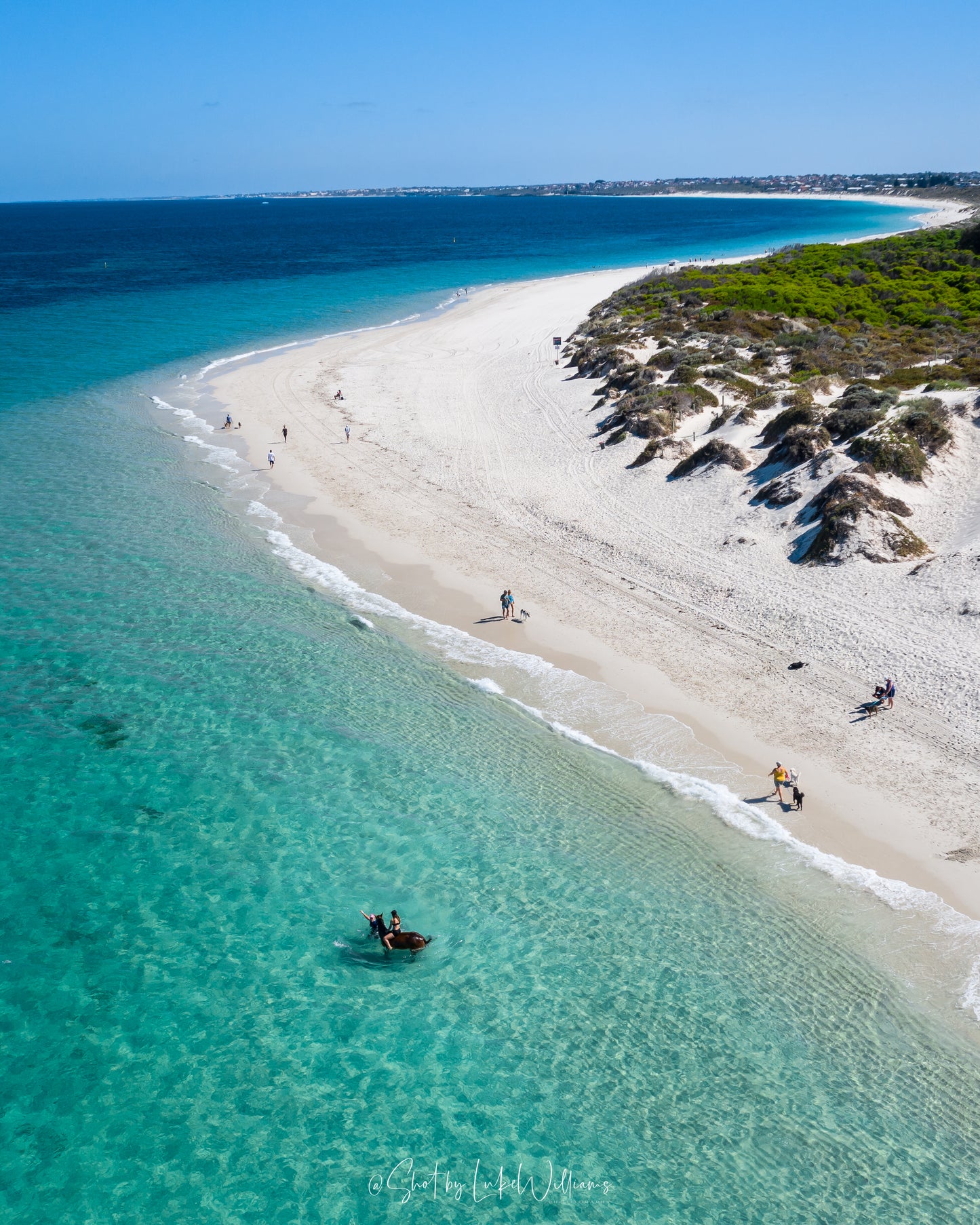 Whitfords Animal Beach