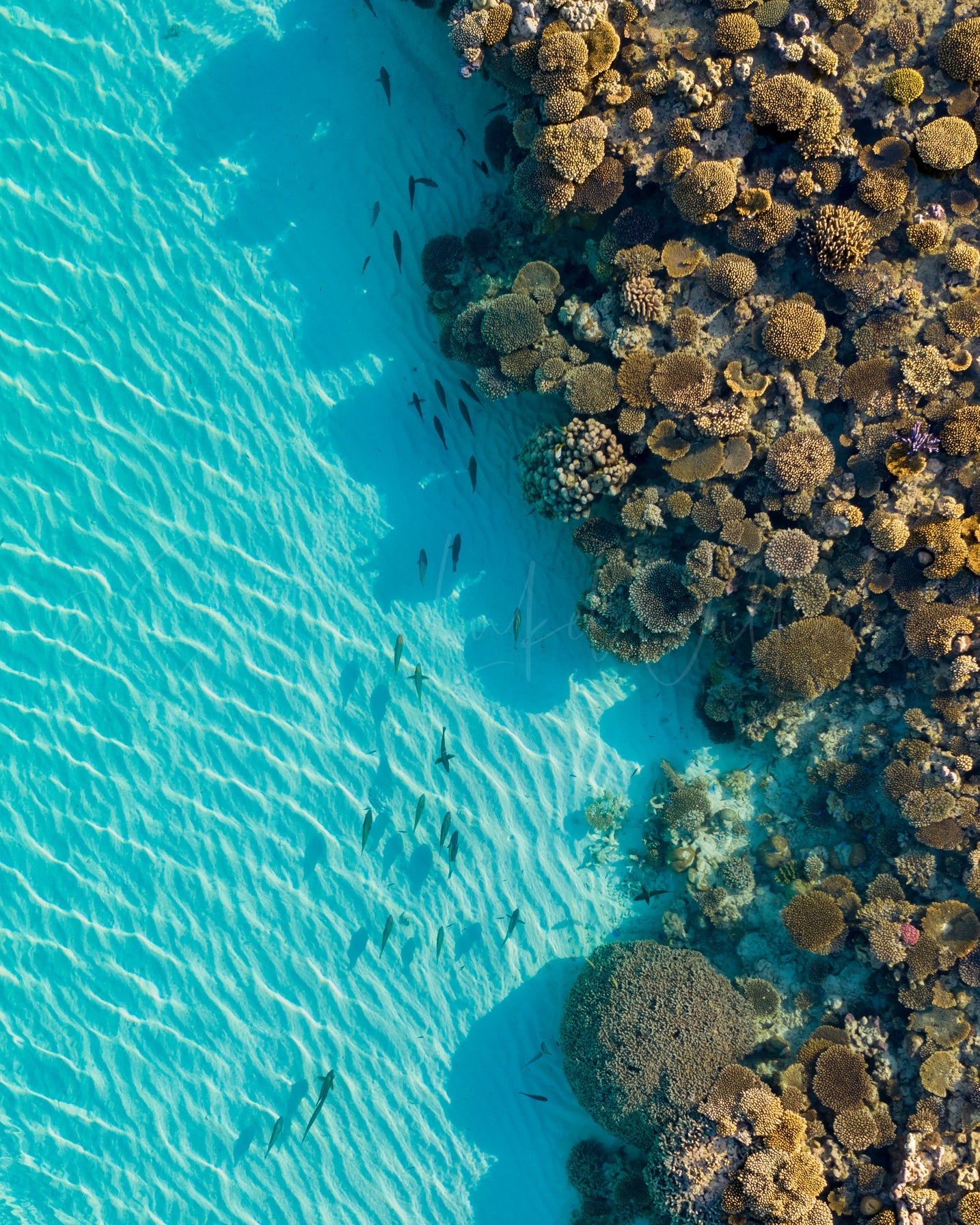 Ningaloo