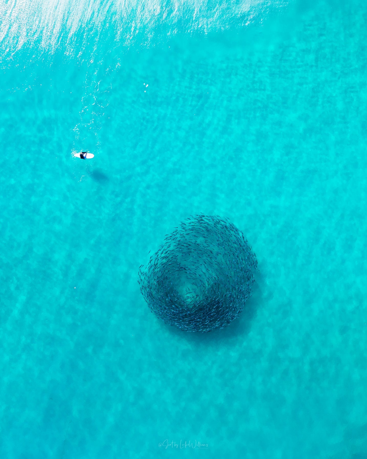 Surfing with Friends