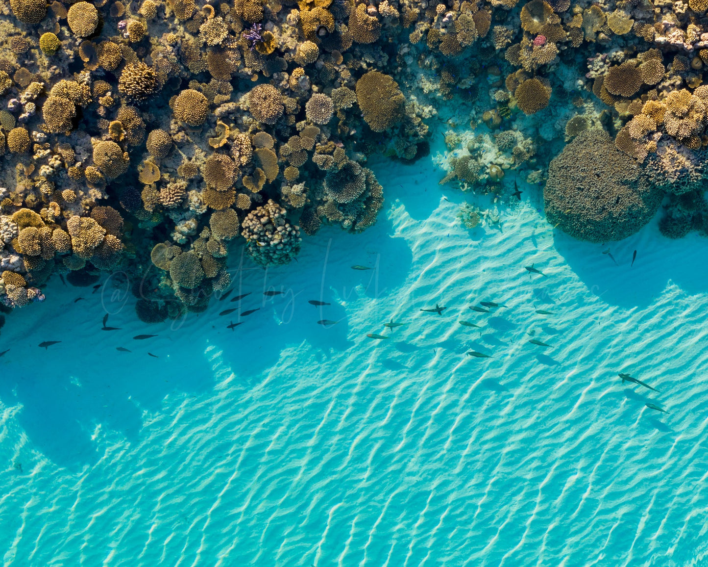 Ningaloo